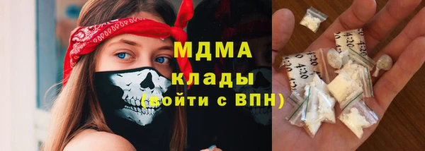 индика Пересвет